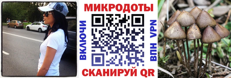 закладка  Горняк  ОМГ ОМГ ONION  Галлюциногенные грибы Magic Shrooms 