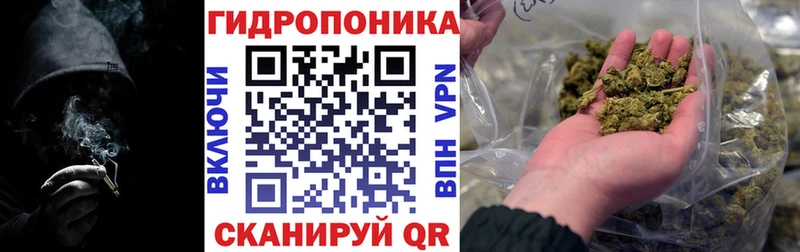Бошки марихуана White Widow  как найти наркотики  Горняк 